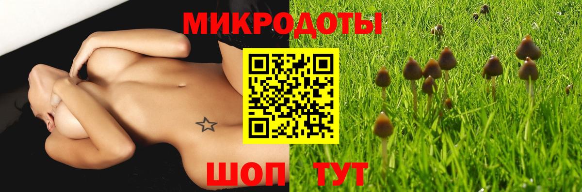 Ишим  Галлюциногенные грибы ЛСД  Вход с VPN 